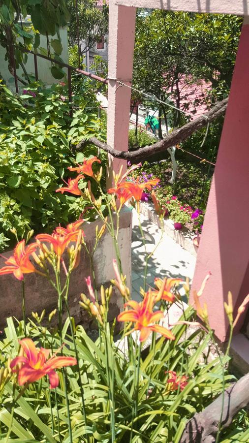 Apartments Vucinovic Tivat Kültér fotó